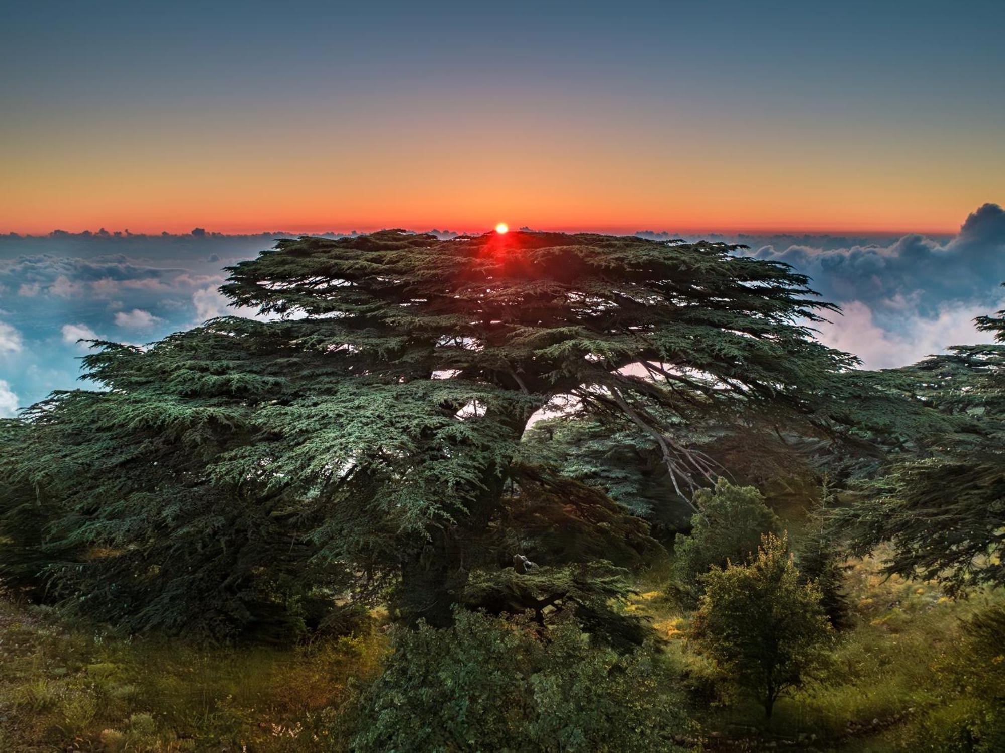 Voco Beirut Central District By Ihg Εξωτερικό φωτογραφία